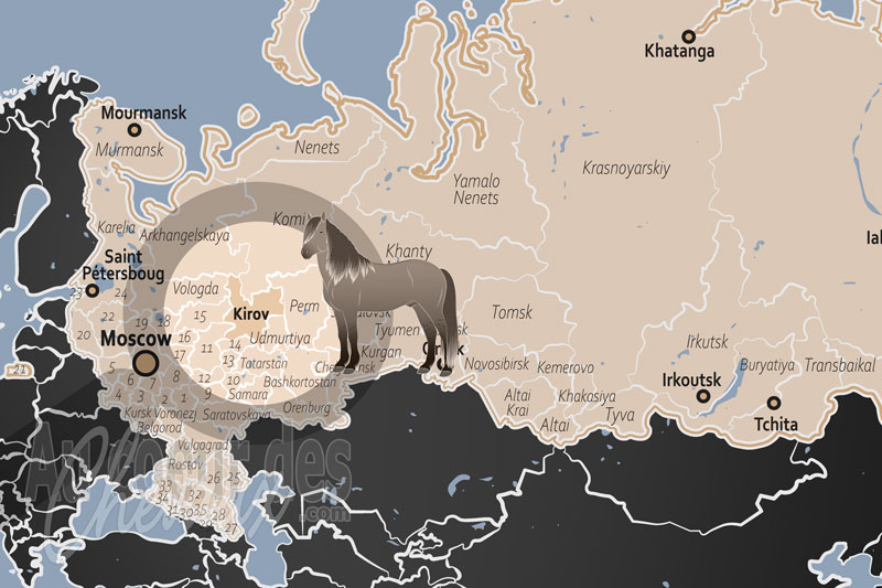 L'Oblast de Kirov, sanctuaire du cheval de vyatka et de l'endurance bor�ale