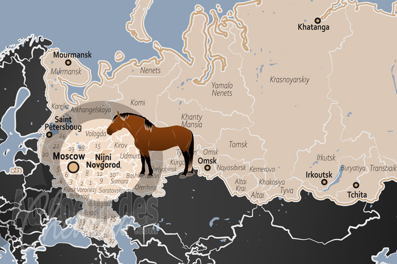 La localisation de l'Oblast de Nijni Novgorod en Russie