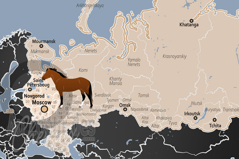 La localisation de l'Oblast de Novgorod en Russie
