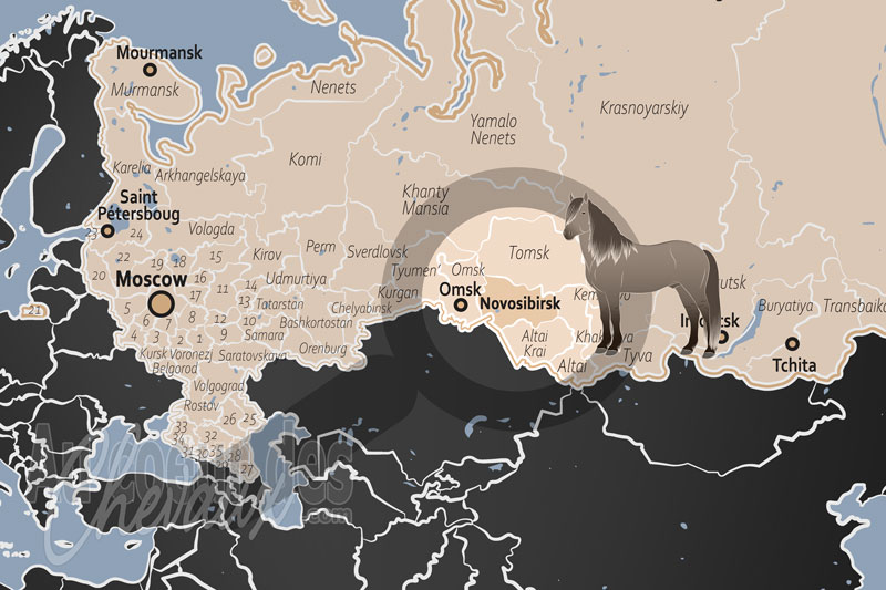 La localisation de l'Oblast de Novossibirsk en Russie