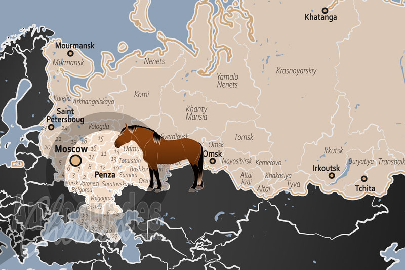 La localisation de l'Oblast de Penza en Russie