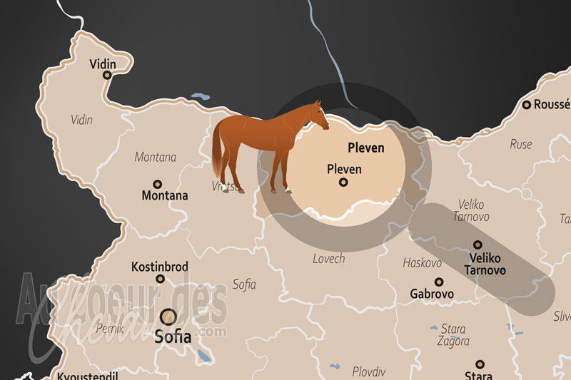 La localisation de l'Oblast de Pleven en Bulgarie