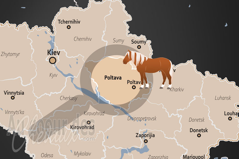 L'Oblast de Poltava, fleuron de l'�levage de trotteurs et de la noblesse �questre des terres noires