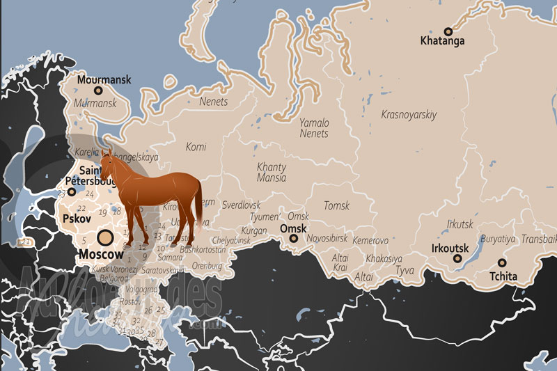 La localisation de l'Oblast de Pskov en Russie
