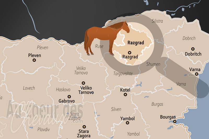 La localisation de l'Oblast de Razgrad en Bulgarie