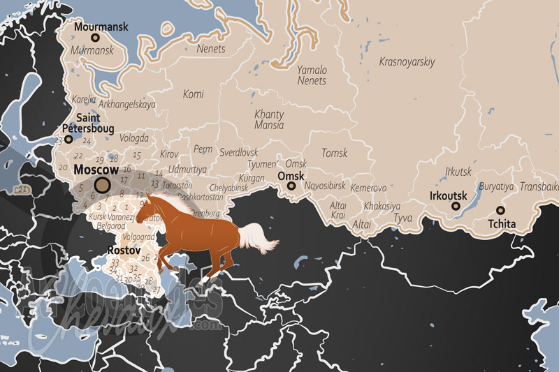 L'Oblast de Rostov, terre sacr�e des cosaques et sanctuaire des races de la steppe