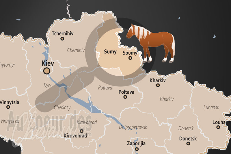 L'Oblast de Soumy, terre d'�levage historique et bastion du sport hippique du nord-est