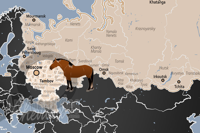 L'Oblast de Tambov, terre d'h�ritage des trotteurs et de la culture hippique de la terre noire