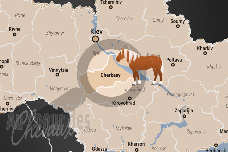 L'Oblast de Tcherkassy, �picentre de l'�levage de sport et modernit� �questre du dniepr