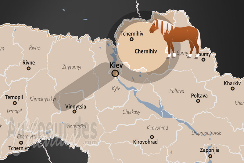 L'Oblast de Tchernihiv, berceau de la tradition �questre du nord et terre de r�silience