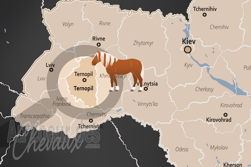 L'Oblast de Ternopil, fleuron de l'�levage de sport et h�ritage des plateaux de podolie
