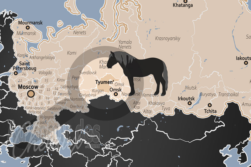 La localisation de l'Oblast de Tioumen en Russie