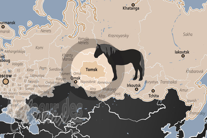 L'Oblast de Tomsk, h�ritage du transport sib�rien et r�silience au c?ur de la ta�ga