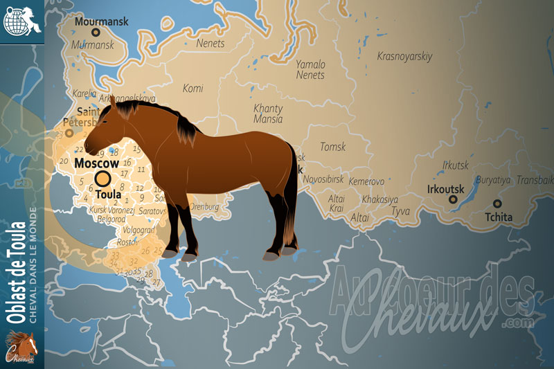 La localisation de l'Oblast de Toula en Russie