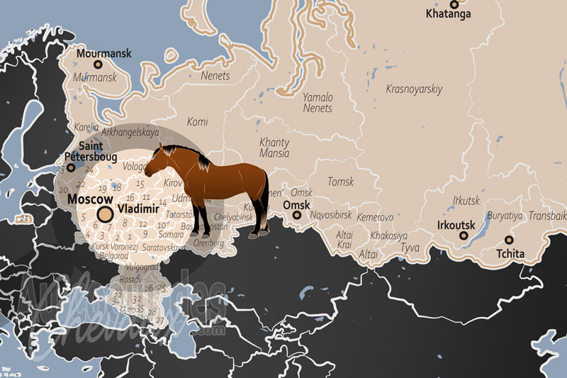 La localisation de l'Oblast de Vladimir en Russie