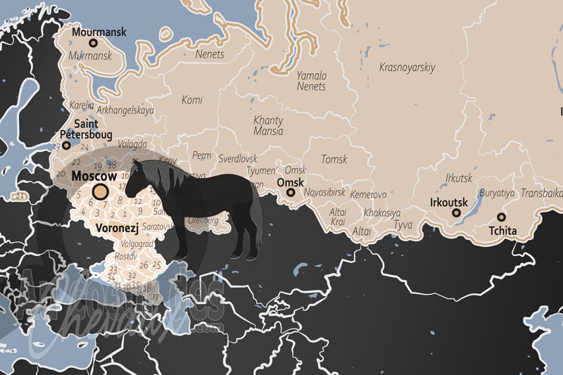L'Oblast de Voronej, berceau mondial du trotteur orlov et sanctuaire de la zootechnie russe
