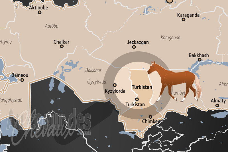 La localisation de l'Oblast du Turkistan au Kazakhstan