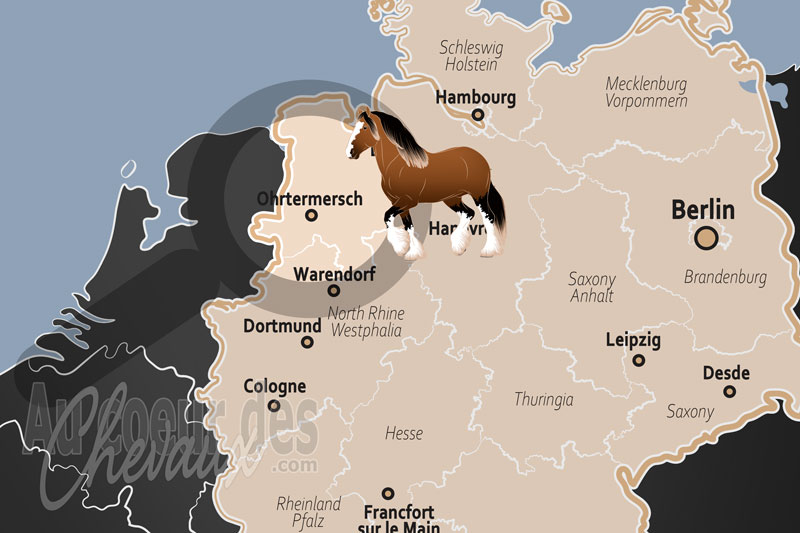 La localisation de Ohrtermersch en Allemagne