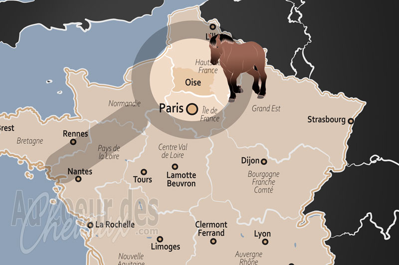 Le D�partement de l'Oise, capitale mondiale du cheval et �picentre de la performance hippique
