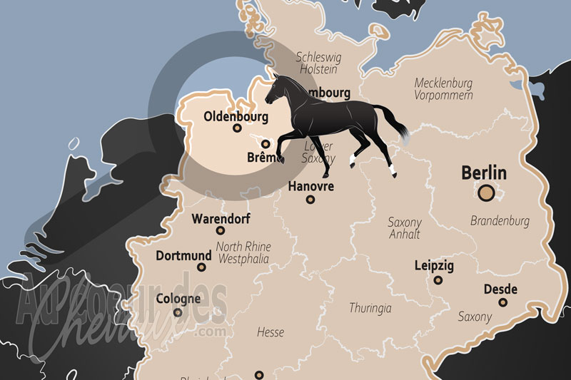 La localisation d'Oldenbourg en Allemagne