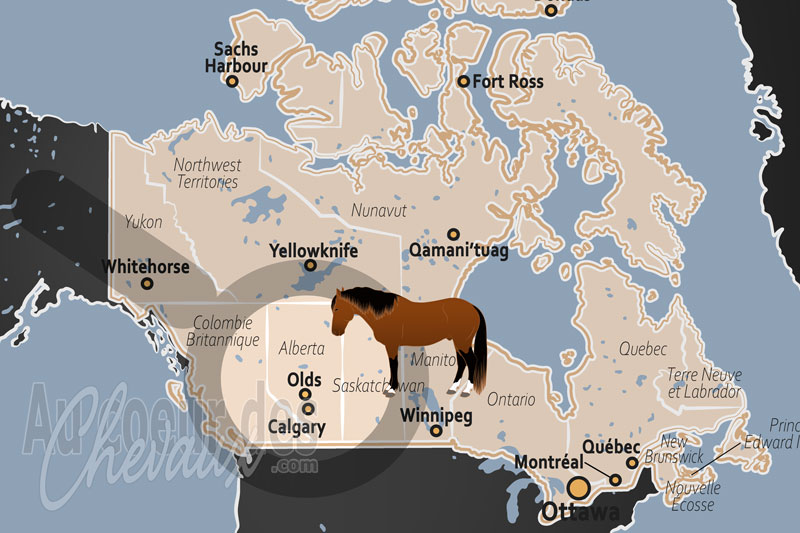 La localisation d'Olds au Canada