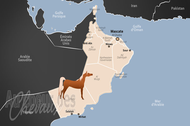 Oman, un h�ritage royal et une tradition mill�naire