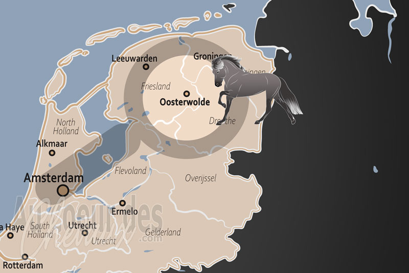La localisation d'Oosterwolde aux Pays Bas