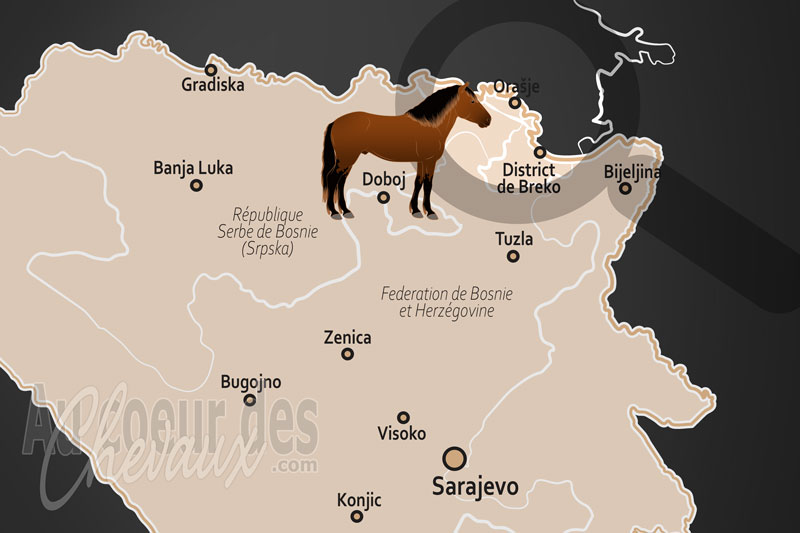 La localisation d'Orasje en Bosnie Herz�govine