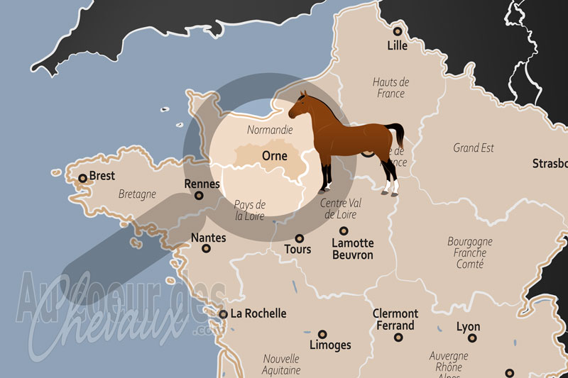 Le D�partement de l'Orne, �picentre de l'�levage mondial et � terre du cheval � d'excellence