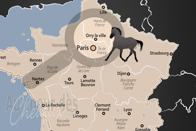 La localisation d'Orry la ville en France