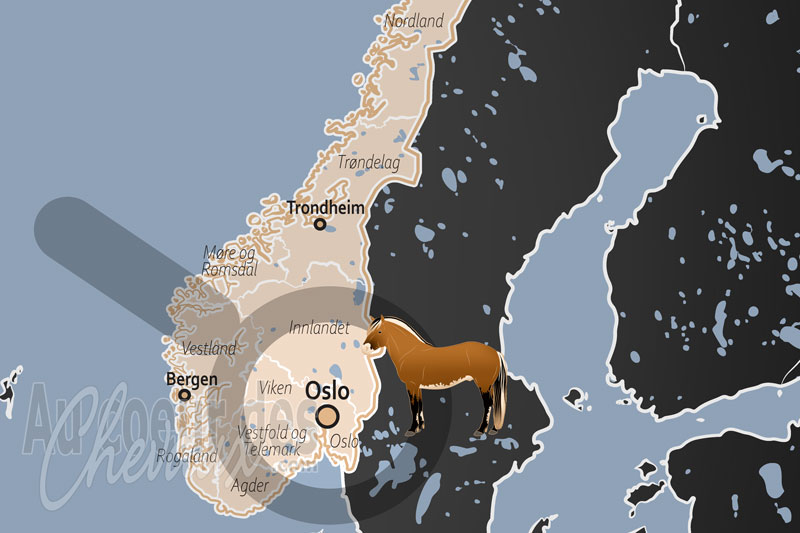 Oslo, hub sportif, institutionnel et culturel de la fili�re �quine scandinave