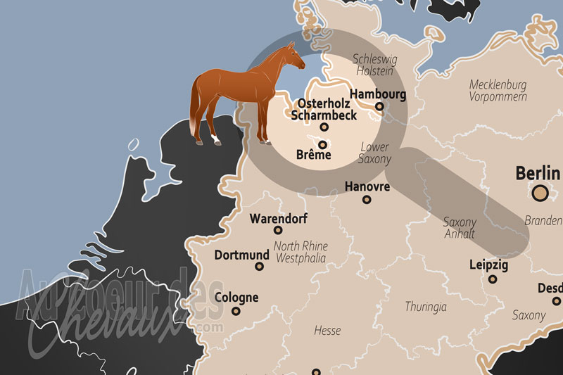 La localisation d'Osterholz Scharmbeck en Allemagne