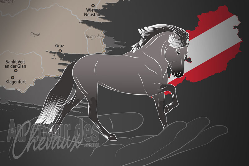 L'Association Autrichienne du Cheval Islandais, une organisation qui g�re le cheval islandais en autriche