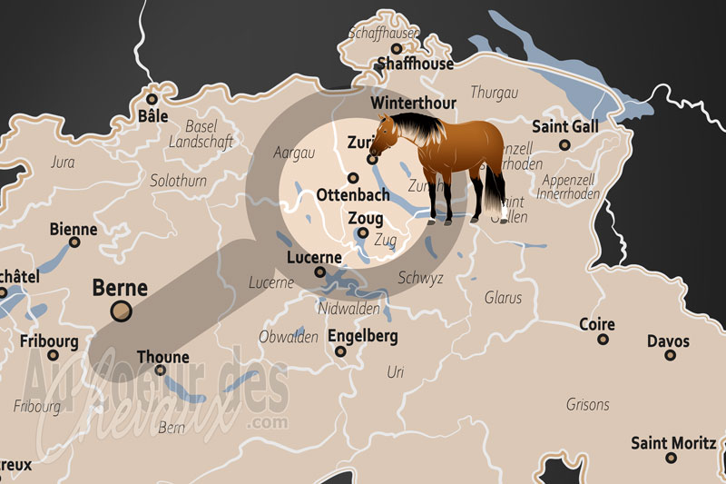 La localisation d'Ottenbach en Suisse