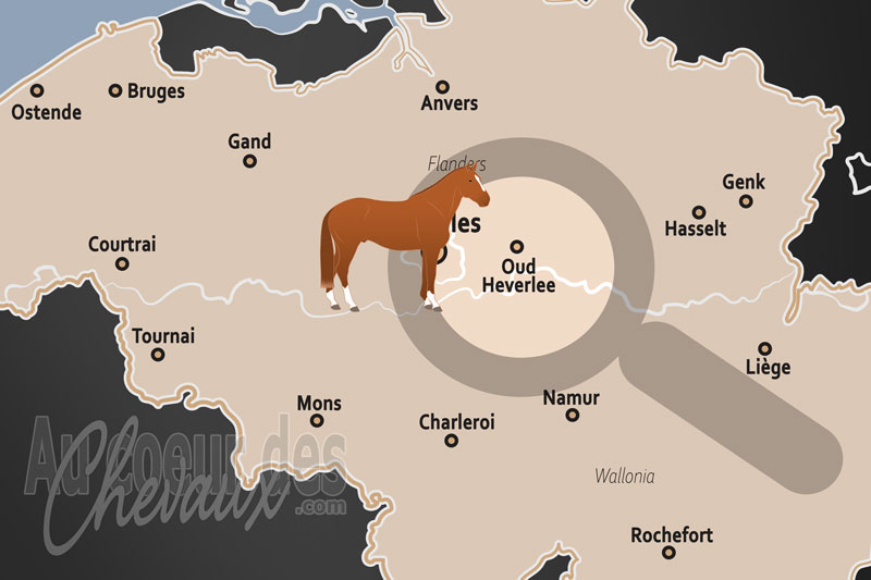 La localisation d'Oud Heverlee en Belgique