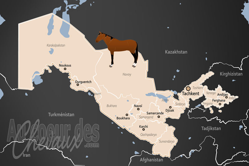 L'Ouzb�kistan, c?ur de la steppe et de la route de la soie