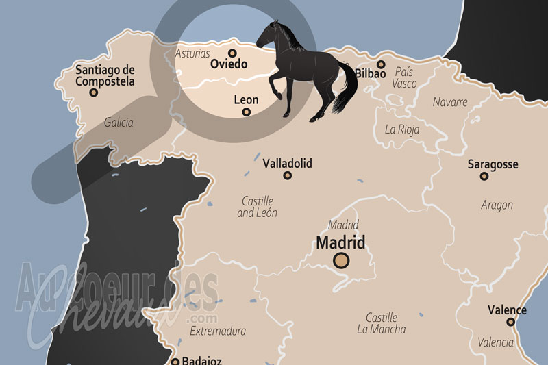 Oviedo, entre h�ritage de l'asturcon et excellence �questre