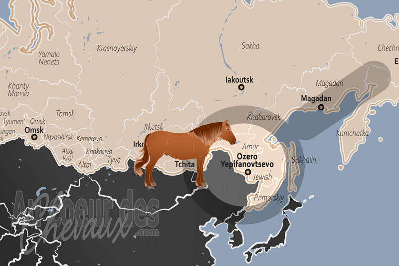 La localisation de l'Ozero Yepifanovtsevo en Russie