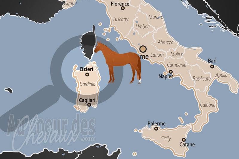 La localisation dans le pays d'Ozieri en Italie