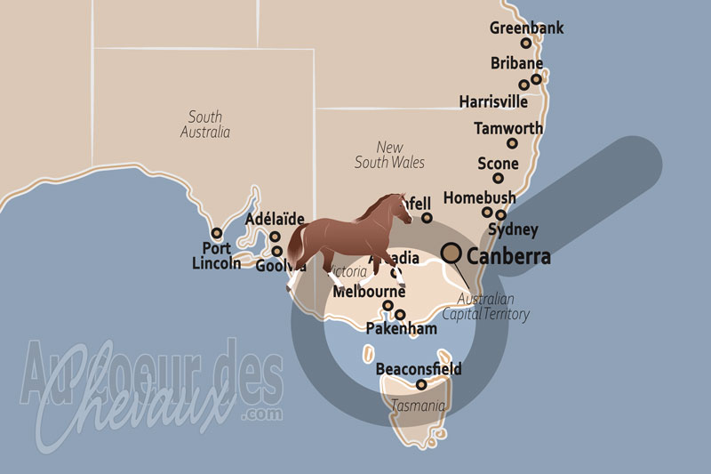 Pakenham, un hub de l'excellence hippique en australie