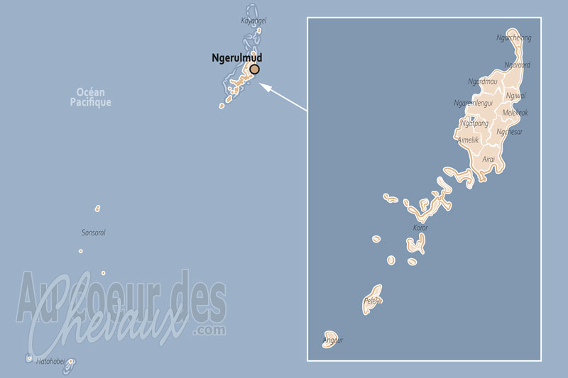 Les Palaos, un �cosyst�me insulaire et maritime