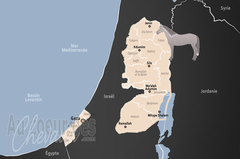La Palestine, r�silience, tradition et symbole national