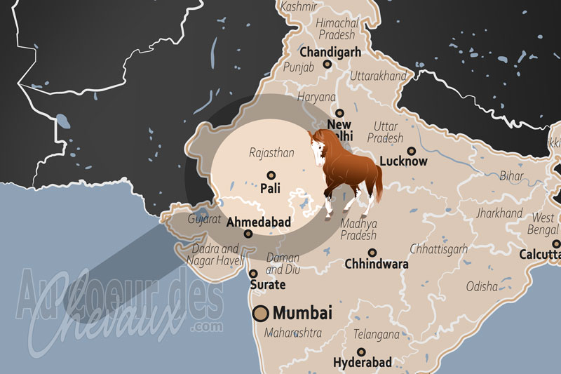 Pali, bastion du marwari et de la tradition rajpoute