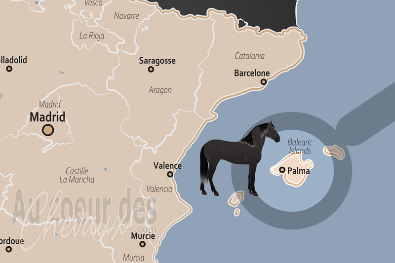 Palma de Majorque, entre tradition insulaire et passion sportive