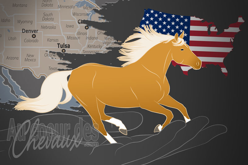 Les �leveurs des Chevaux Palomino d'Am�rique, un organisme de gestion du palomino aux �tats unis