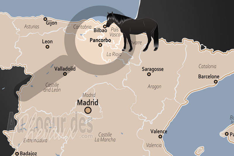 Pancorbo, dernier sanctuaire du cheval losino