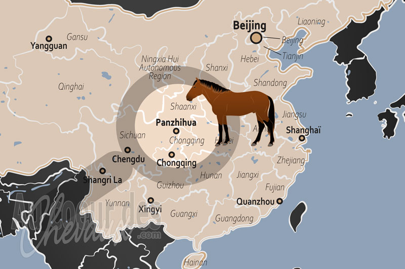 Panzhihua, entre h�ritage de la route du th� et mutation industrielle