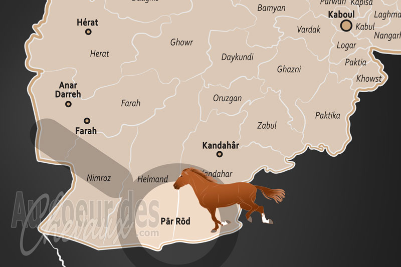Par Rod, les sabots de la r�silience au c?ur du d�sert afghan