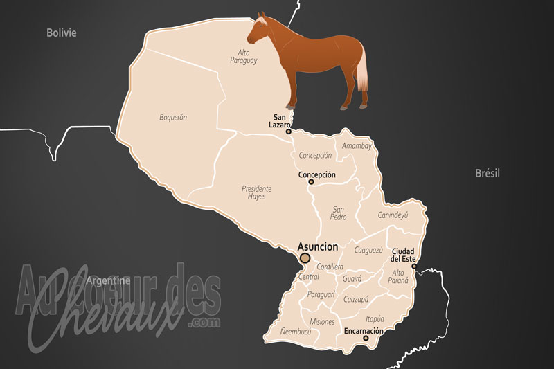 Le Paraguay, le pilier de la culture des estancias