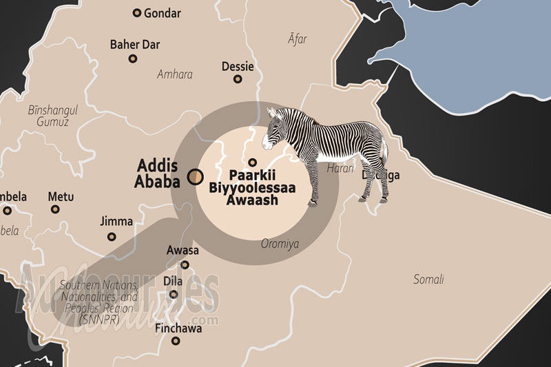 Le Parc National d'Awash, l'�clat des sabots au c?ur de la vall�e du rift